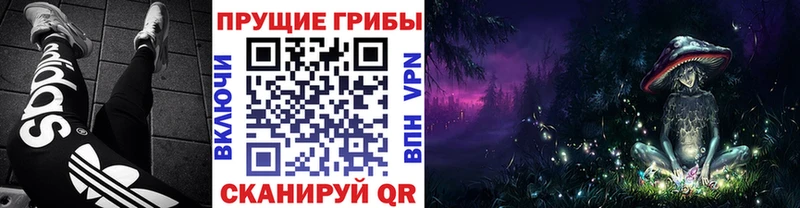 Псилоцибиновые грибы Psilocybe  Сысерть 